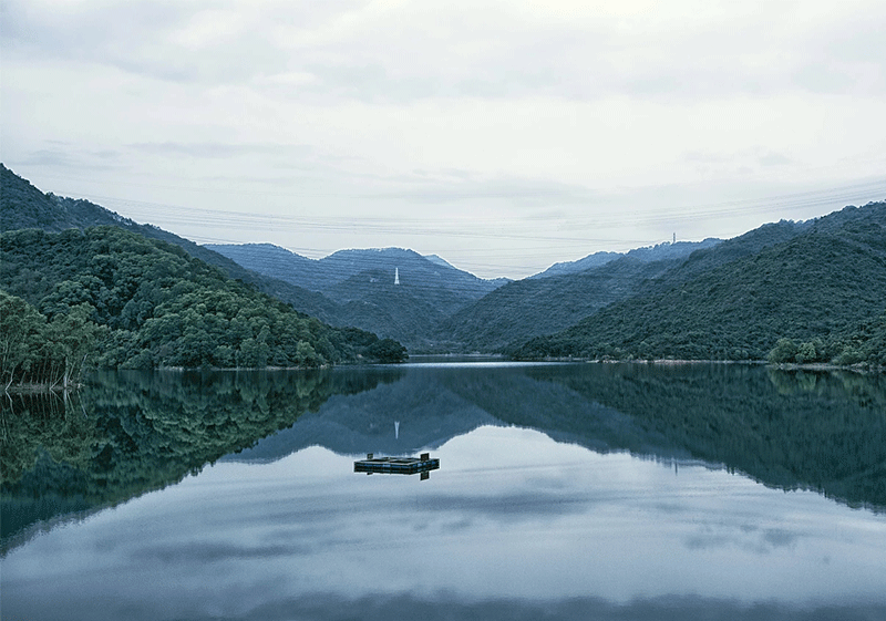 都昌县新妙湖养殖场黄金堰鱼苗养殖基地